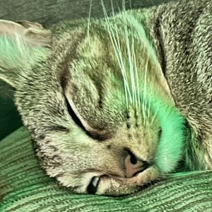 Meet your Posher, Mari